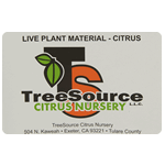 Orange and green TreeSource Citrus Nursery logo and black text on white rectangle custom roll label sample