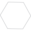 Octagon
